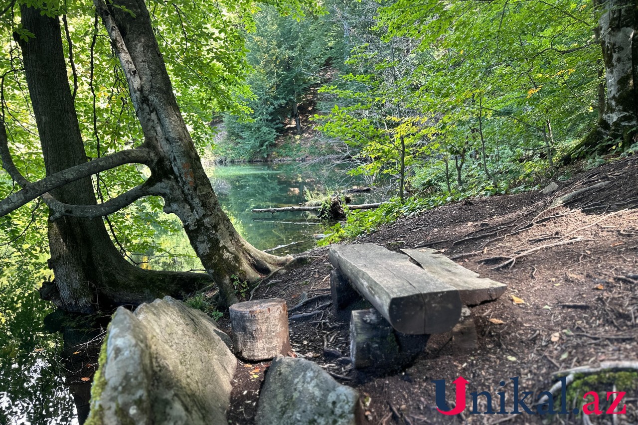 Adı "qara", özü cənnət - FOTOLAR